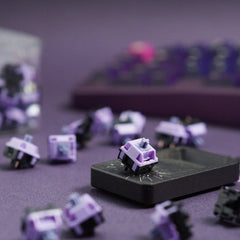 HMX & YG - Blackberry Silent Linear Switches