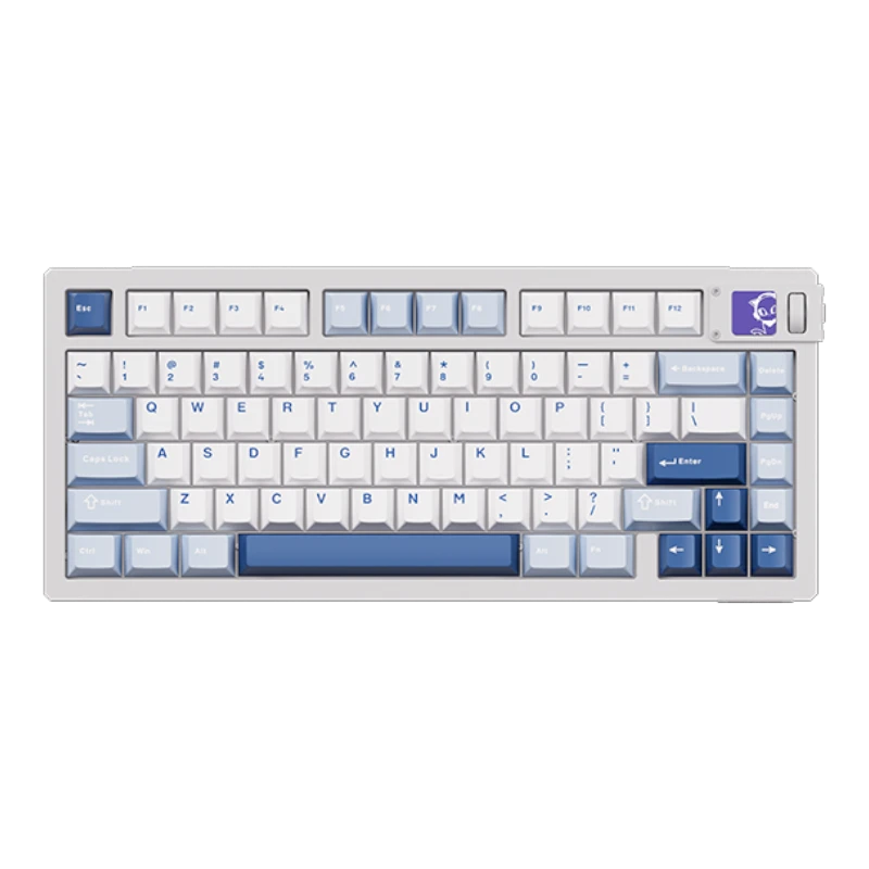 MOD007 V5 HE Magnetic Keyboard