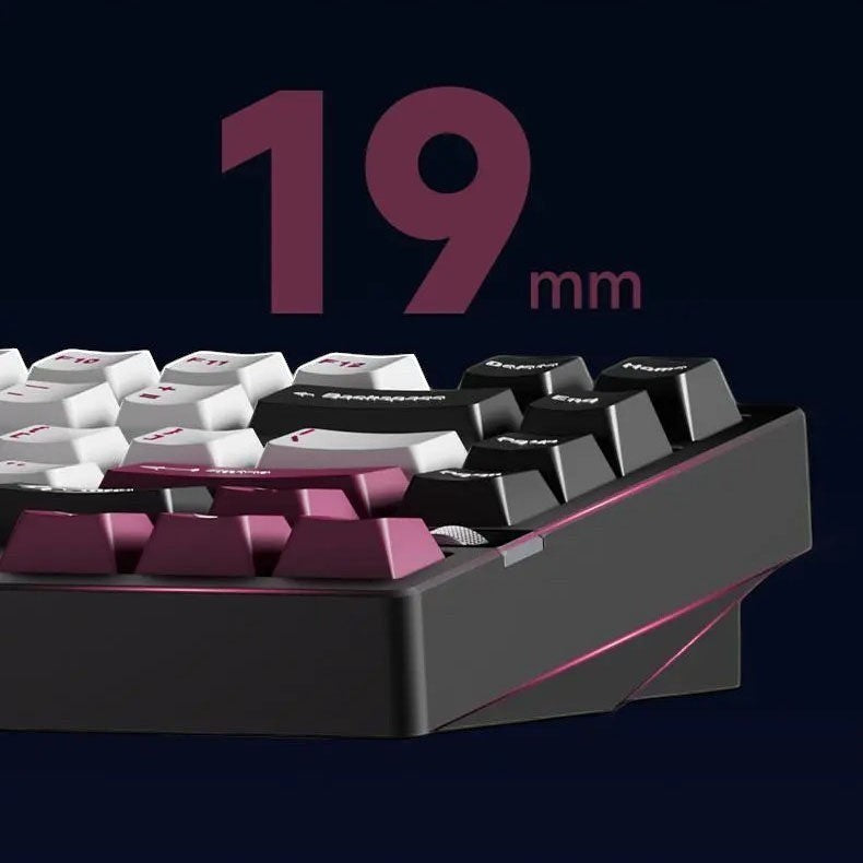 Weikav NUT75 75% mechanical keyboard featuring a low 19mm front height, black and purple PBT keycaps.