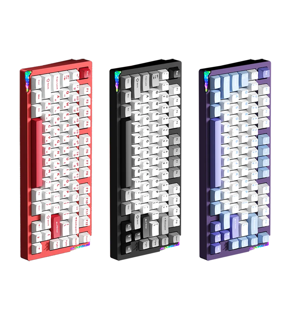 Mechanical Keyboards