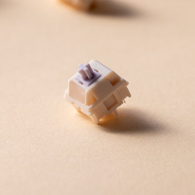 HMX & XLLAB - Taro Silent Switches