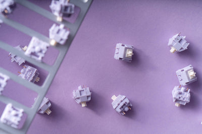 HMX & XLLAB - Taro Ball Linear Switches