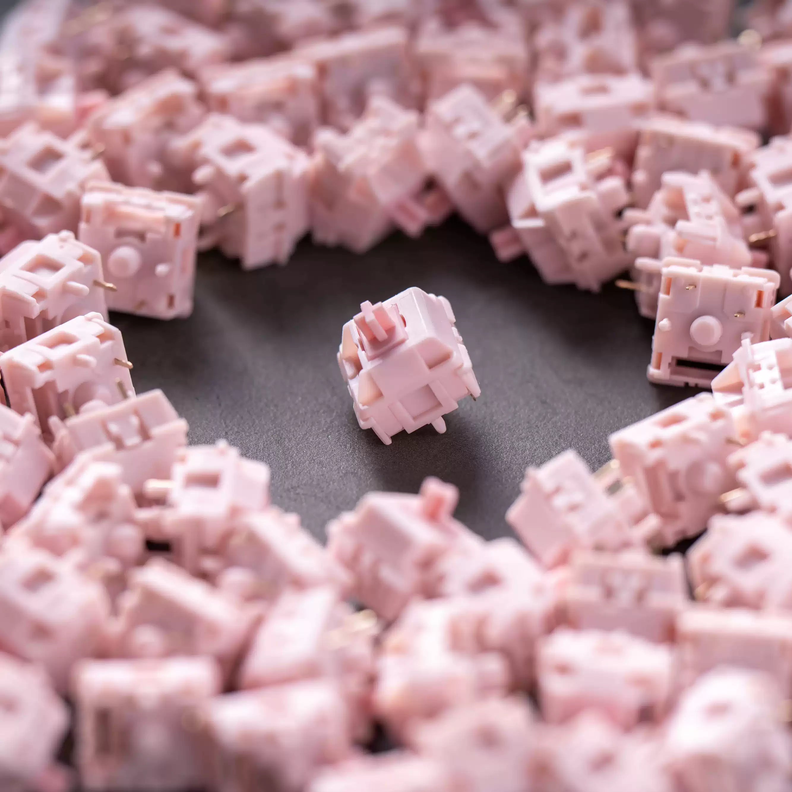 HMX - Diorie Linear Switches