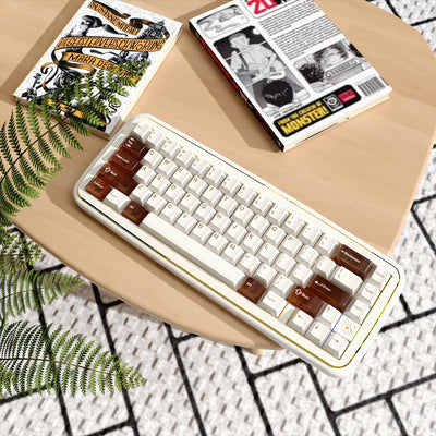 MRXSKEY - Taste65 Mechanisches Keyboard Barebone Kit