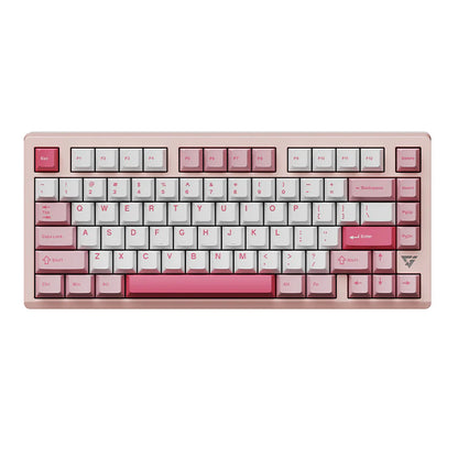 Teclado mecánico inalámbrico de aluminio VGN VXE75 V2 