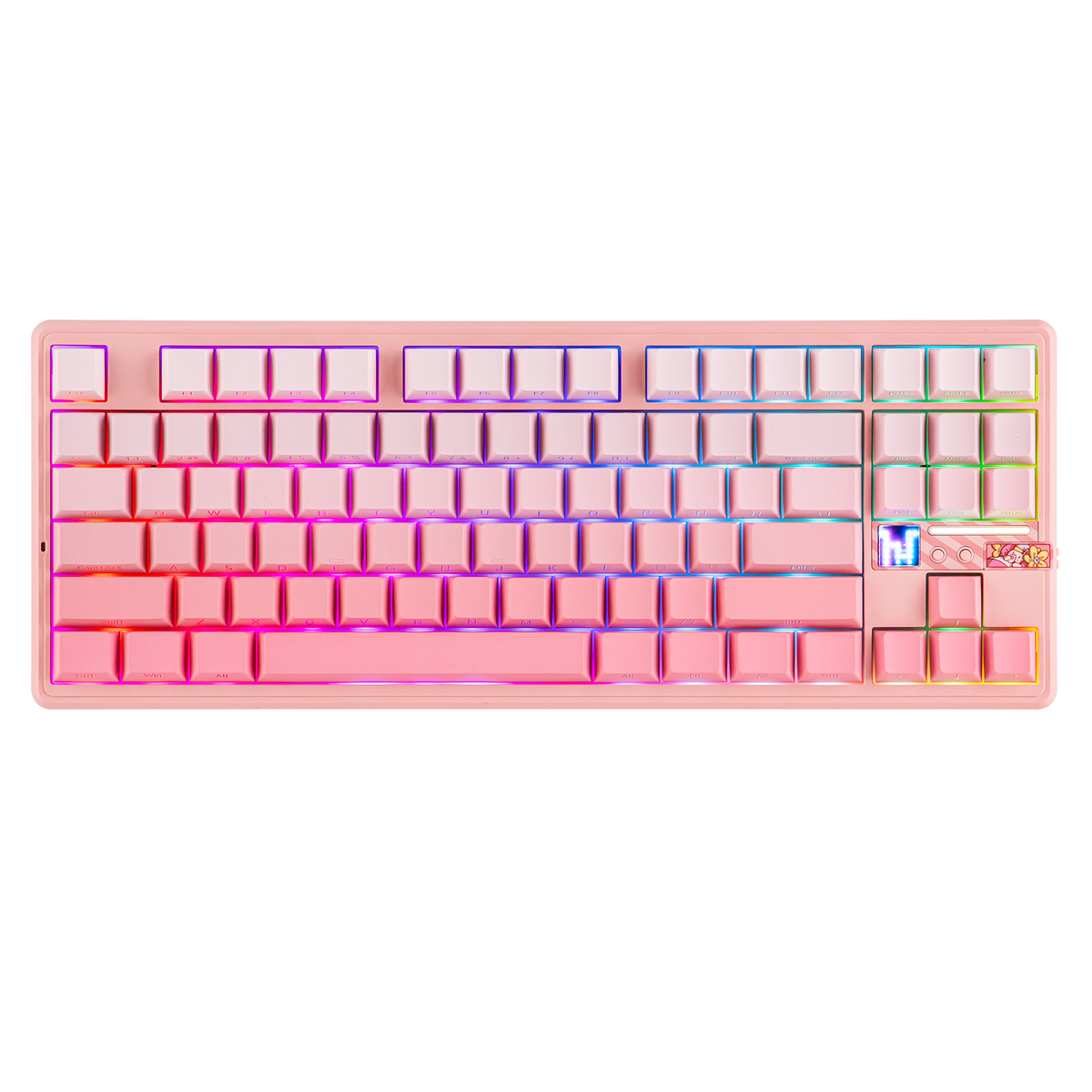 AULA - F87 Pro V2 87% Compact RGB Mechanical Keyboard – OZO Keyboards