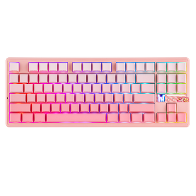 AULA - F87 Pro V2 87% Compact RGB Mechanical Keyboard