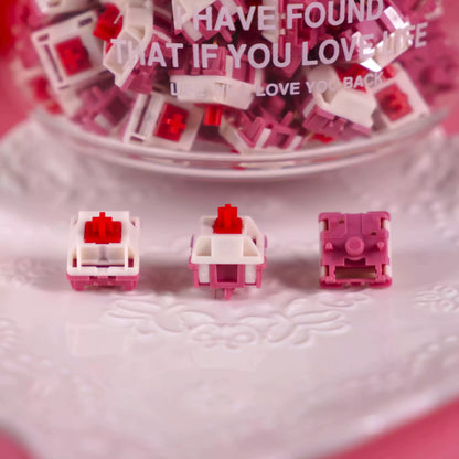 HMX - Darling Linear Switches