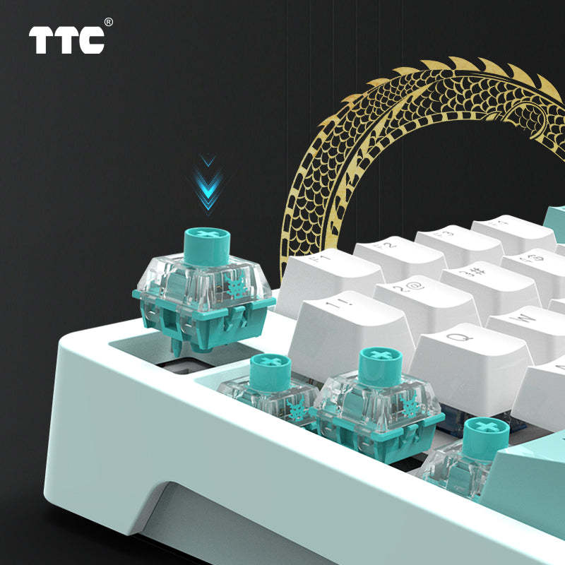 TTC - Interruptores mecánicos lineales Qing Loong