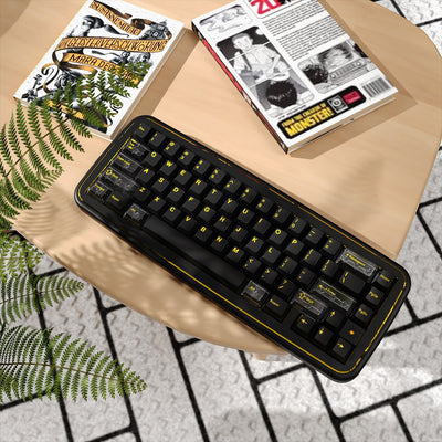 MRXSKEY - Taste65 Mechanisches Keyboard Barebone Kit