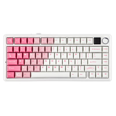 Teclado mecánico completo para juegos RGB AULA - F75 Max