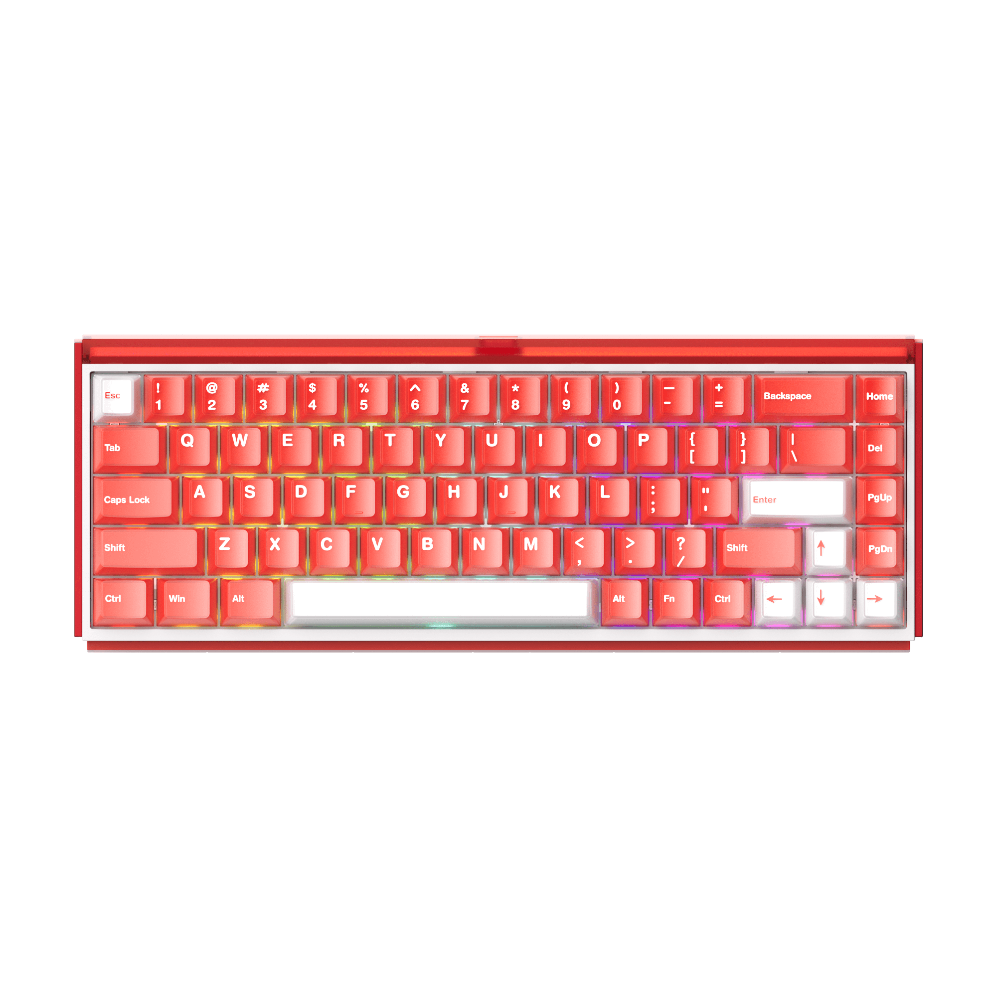 Akko - Ray68 HE Magnetic Hall-Effect Wireless Mechanical Keyboard