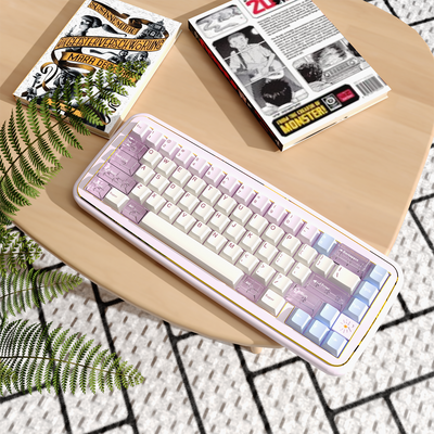 MRXSKEY - Taste65 Mechanical Keyboard Barebone Kit