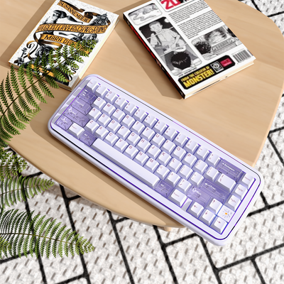 MRXSKEY - Taste65 Mechanical Keyboard Barebone Kit