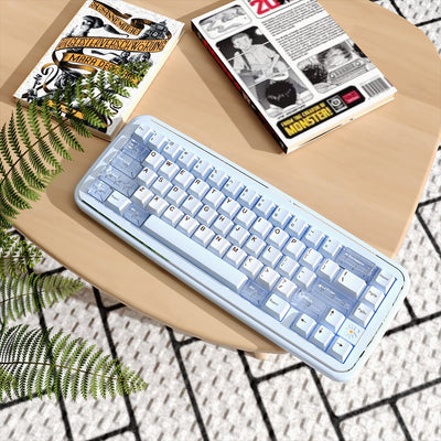 MRXSKEY - Taste65 Mechanisches Keyboard Barebone Kit