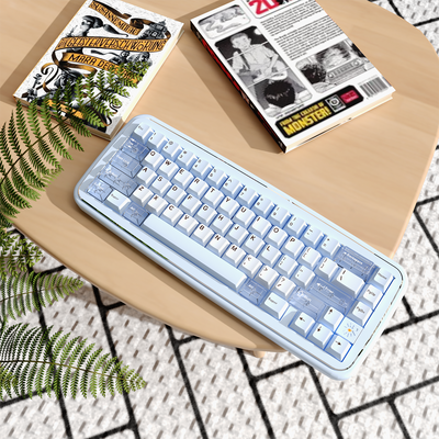 MRXSKEY - Taste65 Mechanical Keyboard Barebone Kit