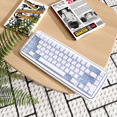 MRXSKEY - Taste65 Mechanisches Keyboard Barebone Kit