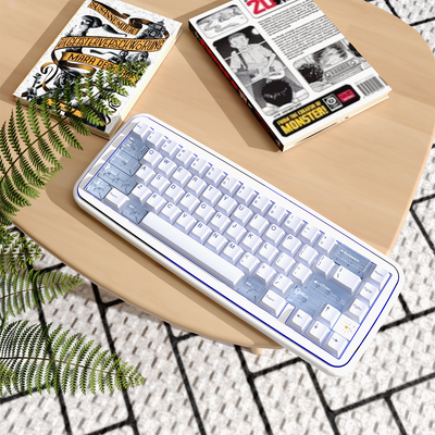 MRXSKEY - Taste65 Mechanical Keyboard Barebone Kit