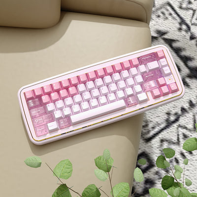 MRXSKEY - Taste65 Mechanisches Keyboard Barebone Kit