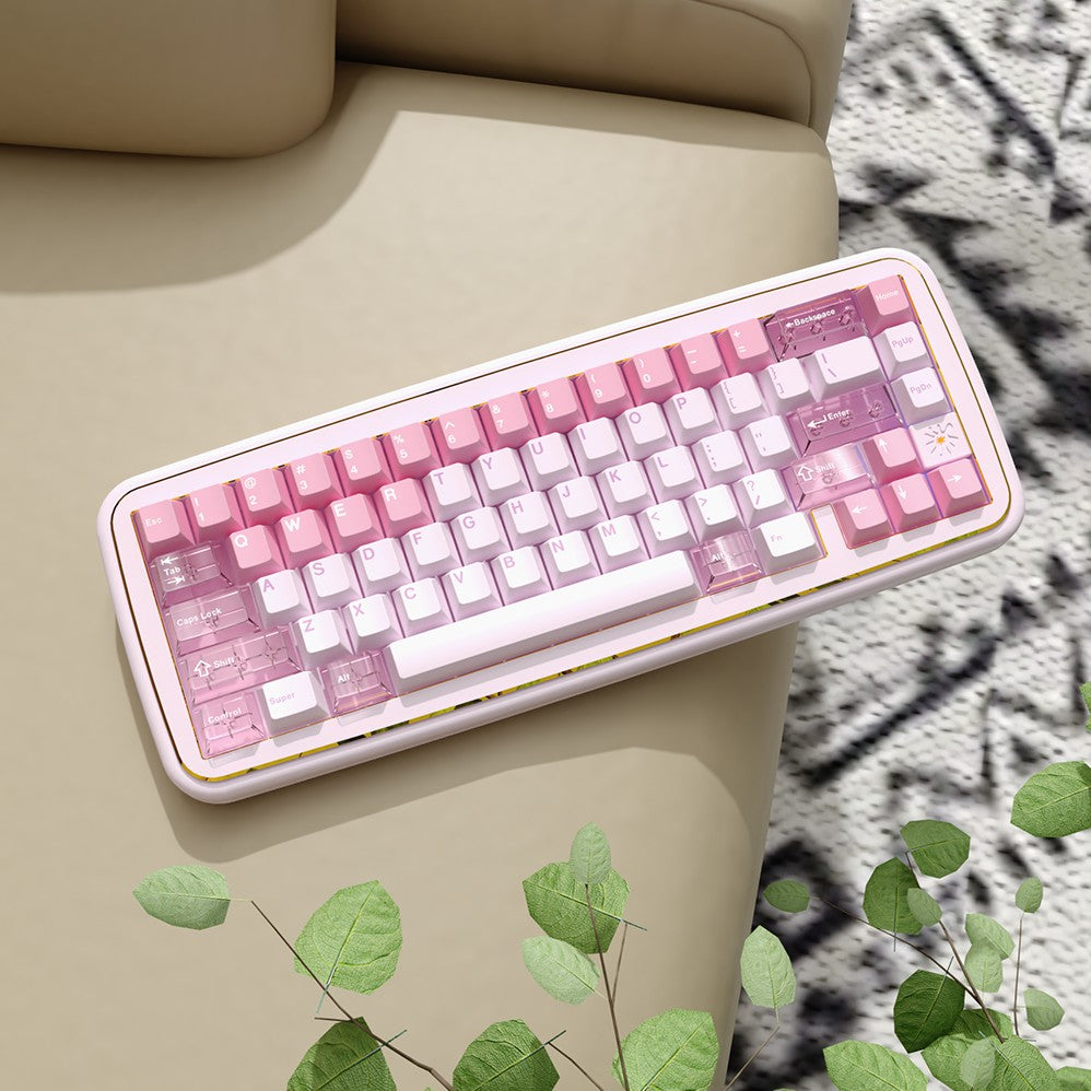 MRXSKEY - Taste65 Mechanisches Keyboard Barebone Kit