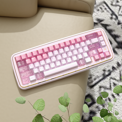 MRXSKEY - Taste65 Mechanical Keyboard Barebone Kit
