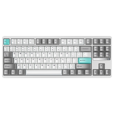 Evo80 80% TKL mechanical keyboard in anodized nimbus, top-down front view 