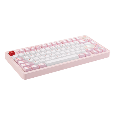 Angled view of Evo75 wireless mechanical keyboard in Baby Pink colour, ANSI 75% layout 