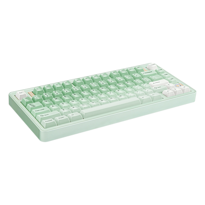 Angled view of Evo75 wireless mechanical keyboard in Light Sage colour, ANSI 75% layout 