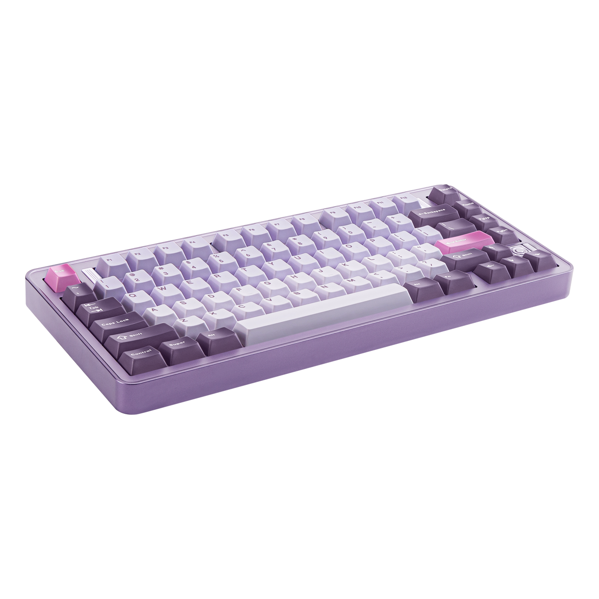 Angled view of Evo75 wireless mechanical keyboard in Tyrian colour, ANSI 75% layout 