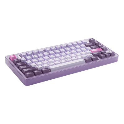 Angled view of Evo75 wireless mechanical keyboard in Tyrian colour, ANSI 75% layout 