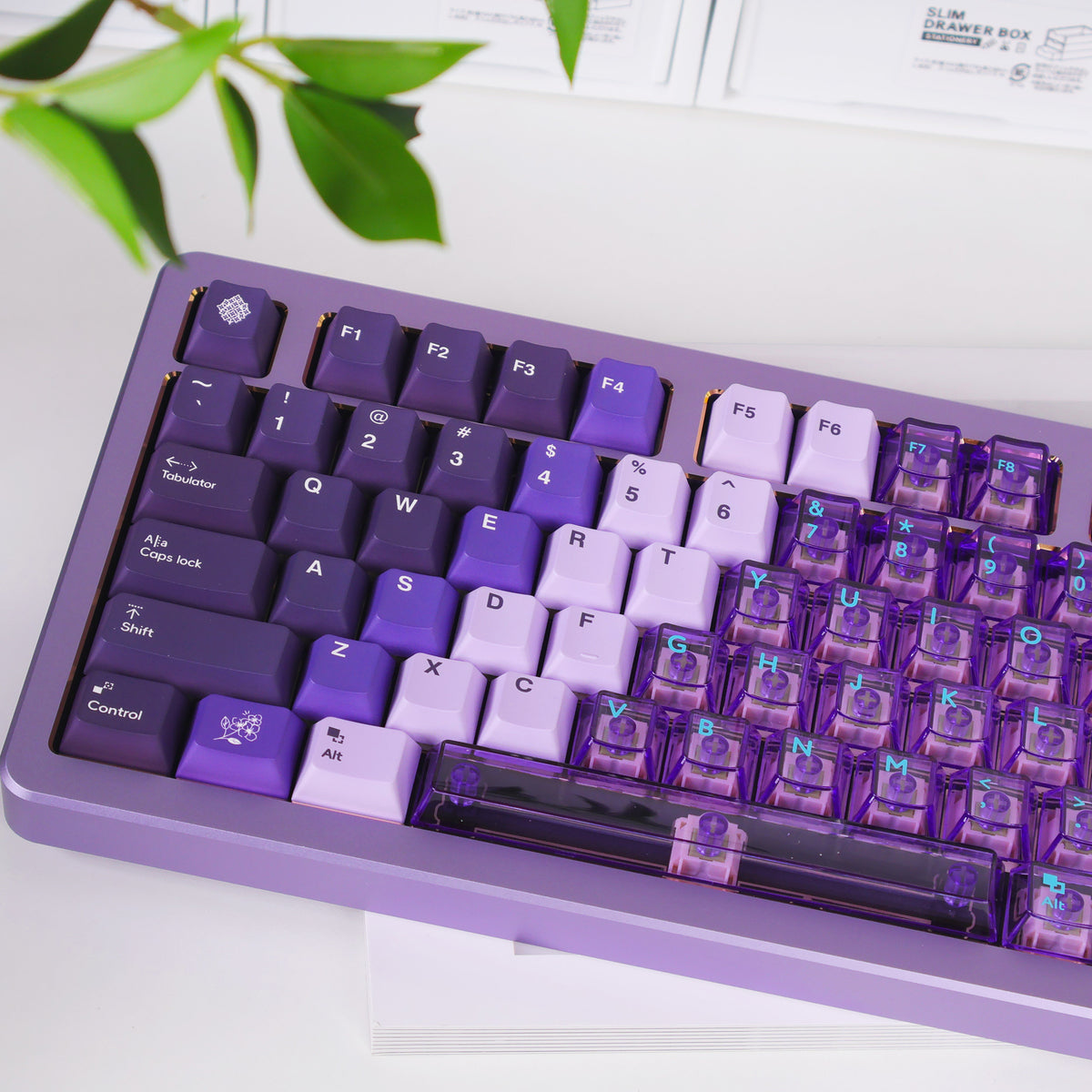 Mintcaps PBT and translucent PC keycap set in purple.