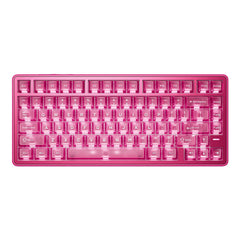 VGN Neon 75% Wireless Magnetic Switch Keyboard | 8000Hz Rapid